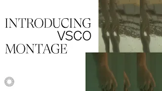 Introducing VSCO Montage