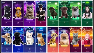 CUTE CATS🐱 VS DOGS🐶 VS ANIME 👯 MEGAMIX WEDNESDAY ADDAMS | TOCA TOCA | WAKE ME UP | LEGEND NEVER DIES