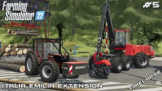 Getting TIMBER ready for PRODUCTION | Italia Emilia Extension | Farming Simulator 22 | Episode 5