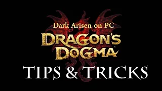 Dragon's Dogma: Dark Arisen PC - Tips and Tricks for Beginners