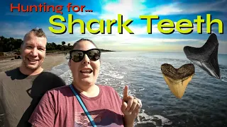 [Venice, FLORIDA] Exploring and HUNTING for shark teeth….The Shark Tooth Capital of the World?