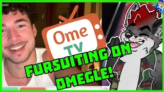 Fursuiting On Omegle! Furry Shenanigans on ome.tv