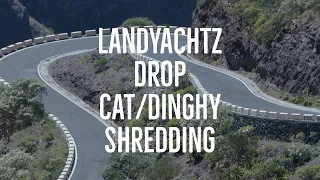 (Longboarding) Landyachtz Drop Cat Seeker 38" And Dinghy 28.5" Longboard Demo/Speed Test