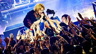 Novelbright - Walking with you [Official Live Video at Zepp DiverCity(TOKYO)]