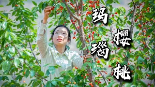 Amazing wild bracken and sweet agate cherries｜Chinese Food ｜野小妹 wild girl