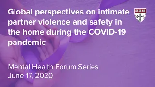 Global perspectives on intimate partner violence and safety in the home during the COVID-19 pandemic