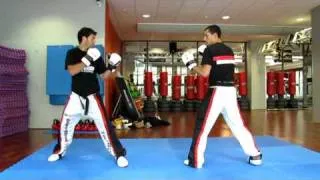 INTENSIVE POINT FIGHT DIDACTIC De Marco Hook After movement