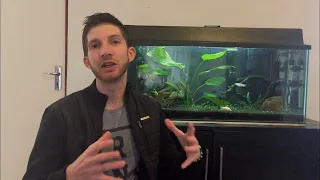 Preparing New Tank For Goldfish!