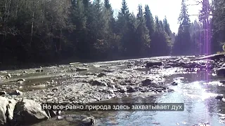 Почему в Карпатах вода стала грязной?