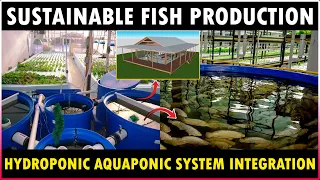 Aquaponic Hydroponic Integration System | Aquaponics Hydroponics Farming Business Plan