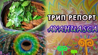 ТРИП РЕПОРТ. Аяваска, аяхуаска, DMT. Приготовили дома. Ayahuasca