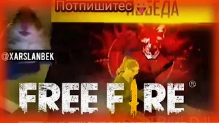 Ақ сәулем, Хомяк играть в free fire 🔥❤хайлайт 🎯TRIPLDJI-Arslanbek 💥