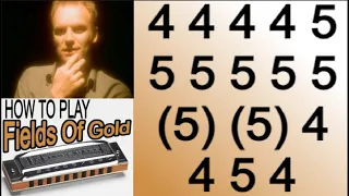 FIELDS OF GOLD HARMONICA ( C DIATONIC ), ARMÓNICA C, BLUES HARP C GAITA DE BOCA C, MUNDHARMONIKA C