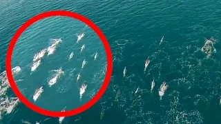 Mermaids Caught on Tape by DRONE
