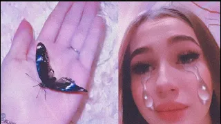 😭ЛЕДИ ДИАНА ПЛАЧЕТ😭/новое животное🦋