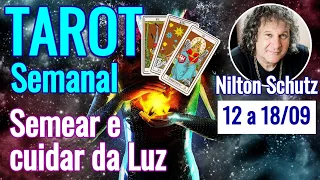 Tarot semanal : Semear e cuidar da Luz - 12 a 18 setembro