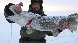 Зимняя рыбалка на Васюганских болотах. Мой самый крупный зимний трофей.Ловля щуки на балансир.