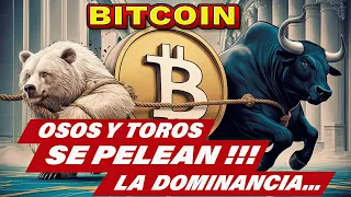 Bitcoin Toros y Osos se pelean la dominancia!! #bullrun #halving