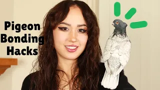 Best Tips on How to Gain Trust and Bond With Your Pet Pigeon