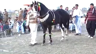 Ghora Neelm Horse dancing maila sakrila Sharif sarai alamgir March 2012.part 1/3