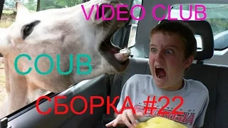 Best Compilation Coub  Лучшие Coub  Часть 22 Сборка приколов 2016 года