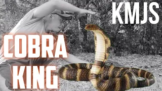 Kapuso Mo Jessica Sojo (KMJS) Cobra King Parody / Laptrip