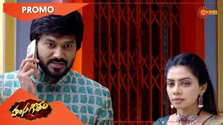 Hamsageetham - Promo | 15 Aug 2022 | Telugu Serial | Gemini TV