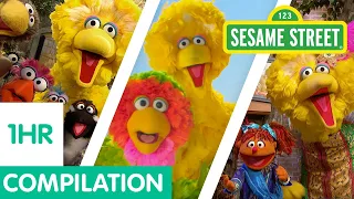 Sesame Street: The Best of Big Bird Compilation | 1 hour!