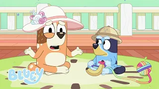 Bluey and Bingo's Trip to the Zoo | Bluey