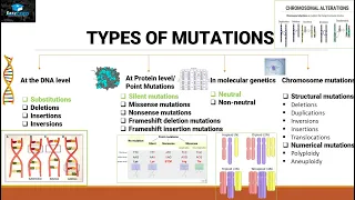 Mutations And Types Of Mutations