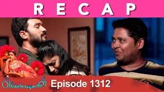 RECAP : Priyamanaval Episode 1312, 08/05/19