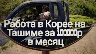 Самая адская работа в Южной Корее это Ташима, зарплата 100 000 руб в месяц, много или мало ?