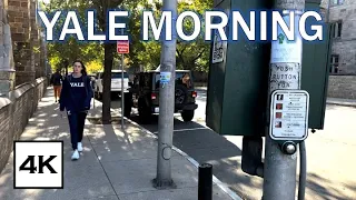 Yale University · Morning Campus Walk · 4K