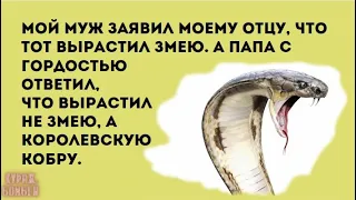 Анекдот в картинках #313 от КУРАЖ БОМБЕЙ: рано нас хвостов лишили, Вселенная и королевская кобра