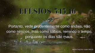 Efésios 5:15-16