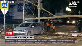 Негода в Україні: через сильний вітер майже 200 населених пунктів у 8 областях залишились без світла