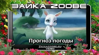 Зайка Zoobe  Прогноз погоды