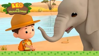 The ELEPHANT is GETTING SPRAYED! 🐘💦 | BEST OF LEO | 1 HOUR | Leo the Wildlife Ranger | Kids Cartoons