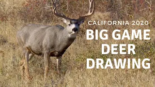 Deer - California Big Game Drawing