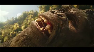 Kong needs a tooth extraction