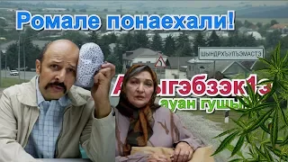 Ауан гушы1э! Цыгане выращивают далеко не #нащэгъэф1э1уудз