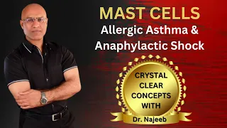 Mast Cells in Allergic Asthma | Anaphylactic Shock