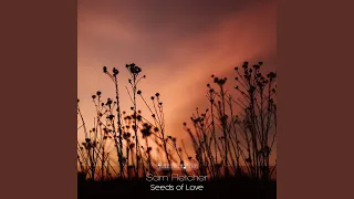 Seeds of Love (Original Mix)