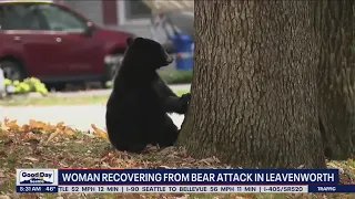 Woman recovering from bear attack in Leavenworth | FOX 13 Seattle