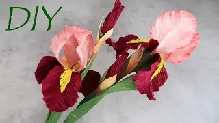 Corrugated paper irises. Flowers with sweets do it yourself.