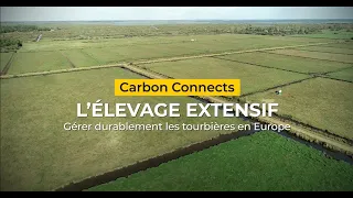 Carbon Connects | Extensive grazing in Grand-Lieu for sustainable peatlands, France [EN, GE, NL sub]