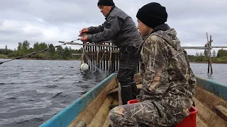 Ловля сетью в Финляндии. Verkkokalastus Suomessa.