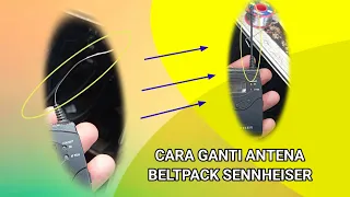 CARA MENGGANTI ANTENA BELTPACK SENNHEISER - TUTORIAL MUDAH