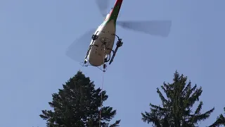 BLUGEON HELICOPTERE : Débardage de bois / Helicoptere de levage