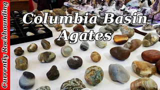 Discussing Columbia Basin Agates With Jason Shull